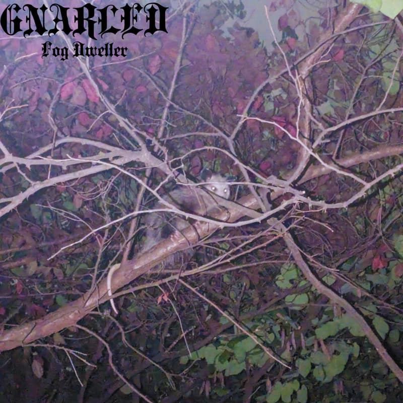 Gnarled