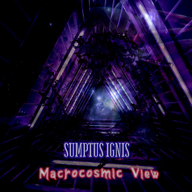 Macrocosmic View