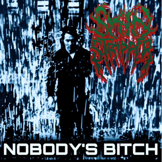 Nobody's Bitch