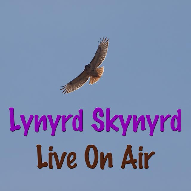 In Concert (Lynyrd Skynyrd On Air Collection)