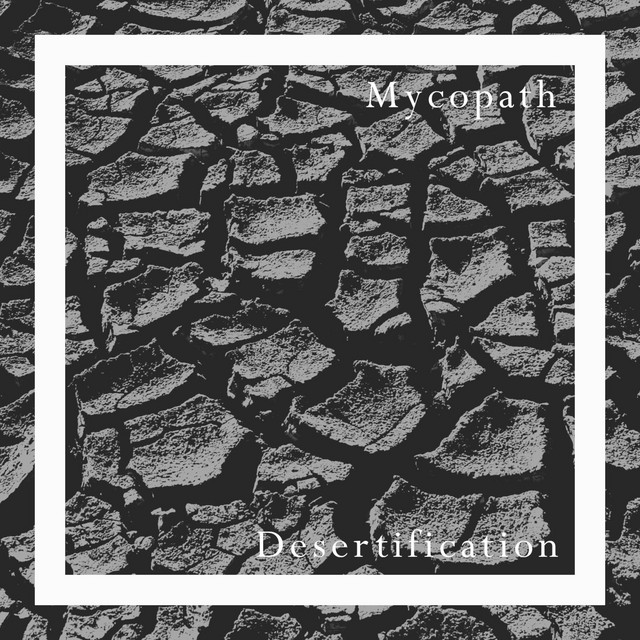 Desertification