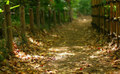 Sitting On A Path