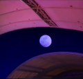 Ｏｃｅａｎ Ｄｏｍｅ