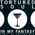 In My Fantasy, incl. DJ Spinna Mix