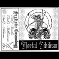 Dualistic Cosmology