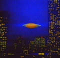 ＮＩＧＨＴ ＦＬＩＧＨＴ