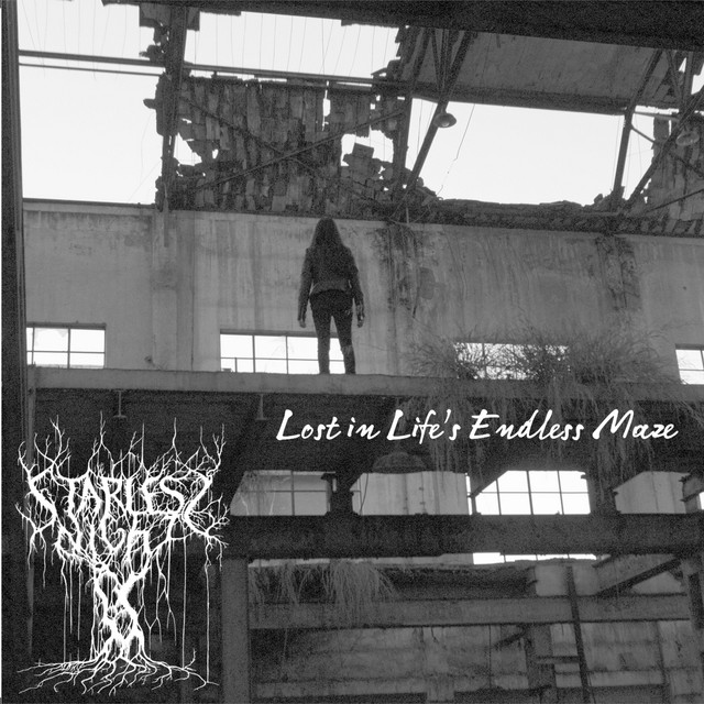 Lost in Life's Endless Maze