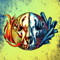 "Fire and ice and rage..."