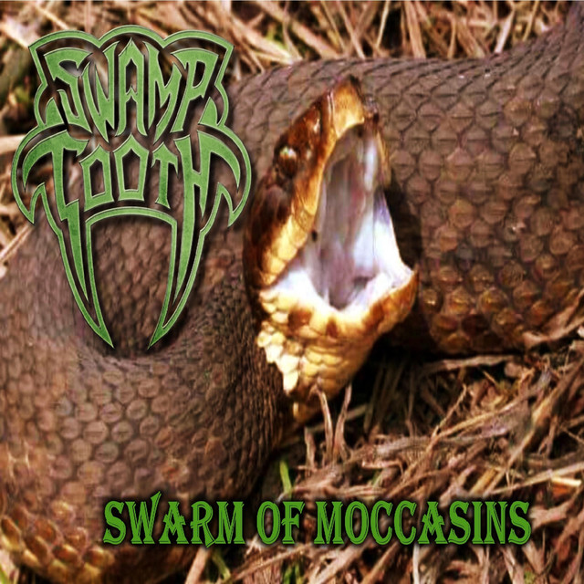Swarm Of Moccasins