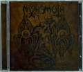 Novum Testamentum - Evangelium Morti