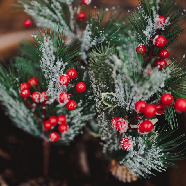 Christmas at Home