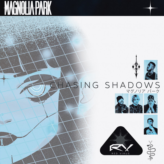 CHASING SHADOWS